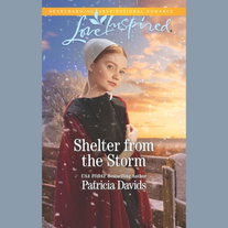 Shelter From The Storm