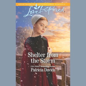 Shelter From The Storm