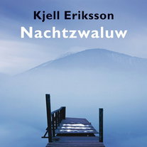 Nachtzwaluw