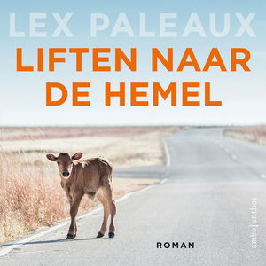 Liften naar de hemel