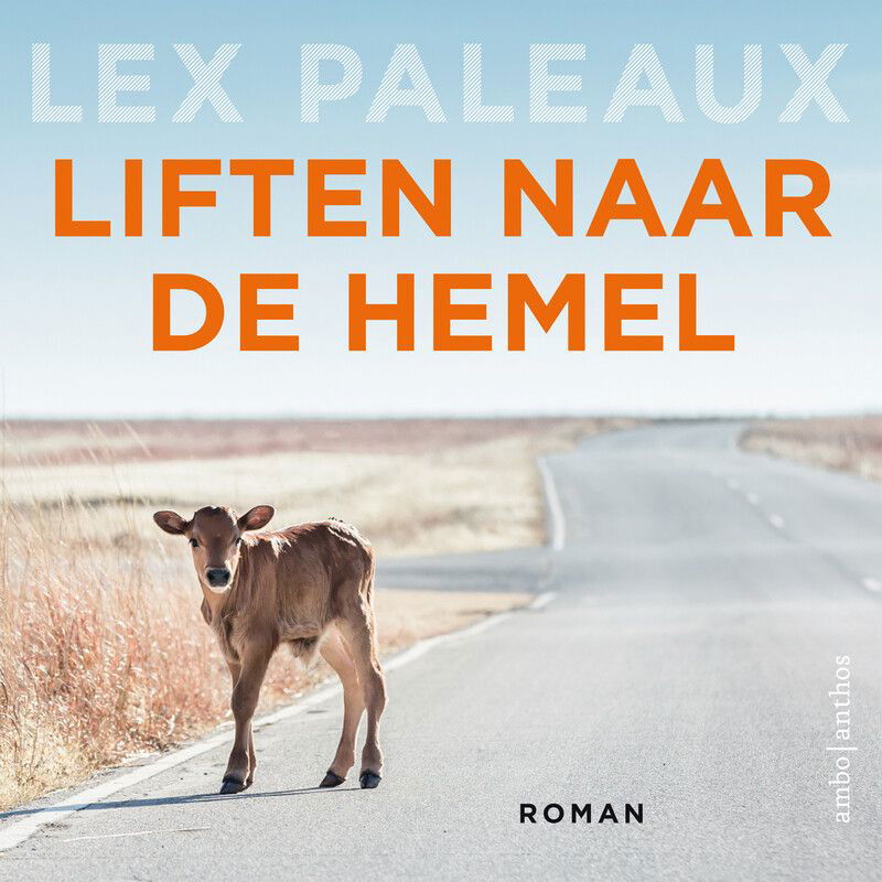 Liften naar de hemel