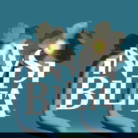 The Friendship Season