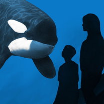 Episode 2: Can Good Boys Be Wild?