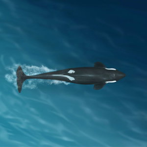 Episode 3: Homecoming