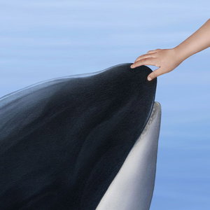 Episode 6: The Last Winter