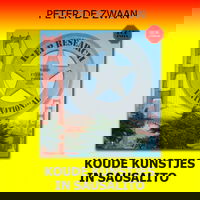 Koude kunstjes in Sausalito