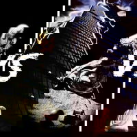 Poltergeist 2 vs Poltergeist 3 - Julius vs Jasper 119