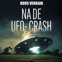 Na de UFO-crash