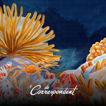 Te troebel om te zien, te mooi om te negeren: vijf schitterende landschappen die niemand kent