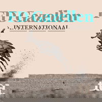 'Die ene vertaalfout heeft ons tonnen gekost'