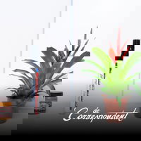 Het is verdraaid moeilijk om in het onderwijs een eerlijk oordeel te vellen. Deze methode kan helpen