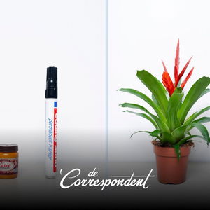 Het is verdraaid moeilijk om in het onderwijs een eerlijk oordeel te vellen. Deze methode kan helpen