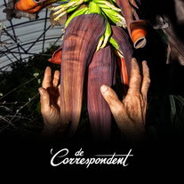 De aarde warmt op en paaseitjes zijn dit jaar 30 procent duurder. Wat hebben die twee met elkaar te maken?