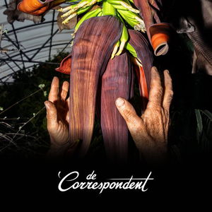 De aarde warmt op en paaseitjes zijn dit jaar 30 procent duurder. Wat hebben die twee met elkaar te maken?