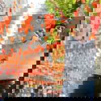 Denkend aan Holland...