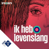 Ik heb levenslang: 'Ik heb zelf het bewijs verzameld'