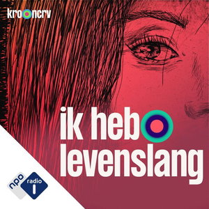 Ik heb levenslang: 'Ik heb zelf het bewijs verzameld'