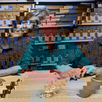 Sacha Bronwasser, schrijver: ‘Een roman schrijven was een typische midlife-beslissing’