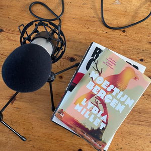 #156 De Bende gaat 3 keer op tocht