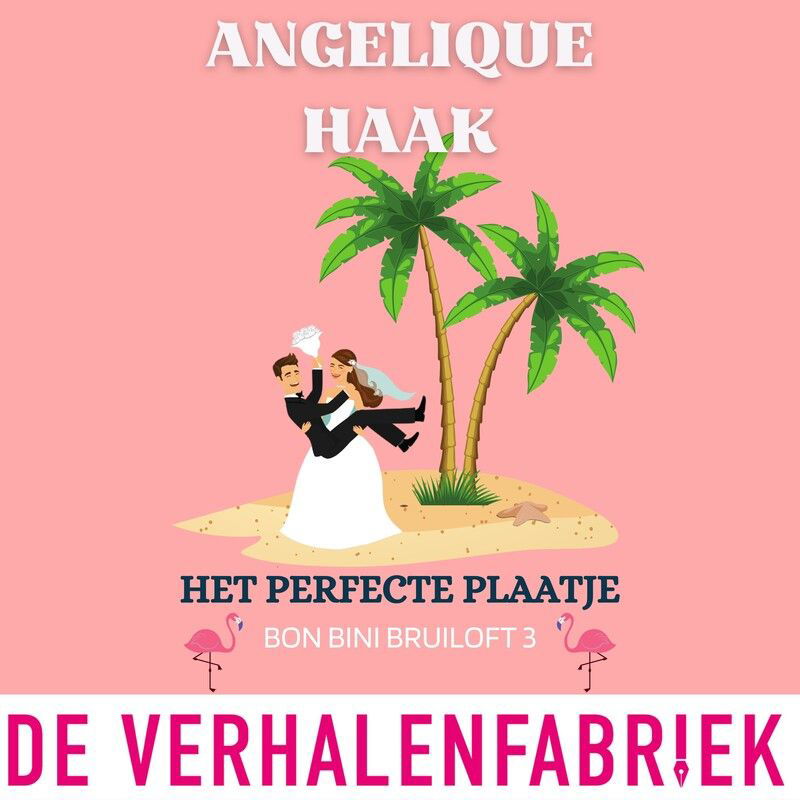 Het perfecte plaatje