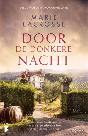 Door de donkere nacht