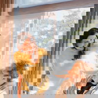 Afl. 295 Je persoonlijke ontwikkeling en overeten