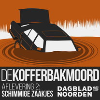 2. Schimmige zaakjes