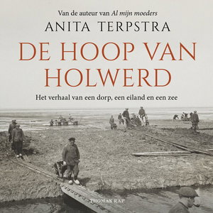 De hoop van Holwerd