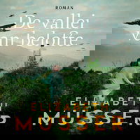 De vallei van belofte