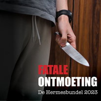 Fatale ontmoeting
