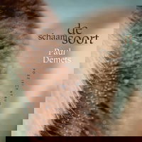 Beeldspraak - aflevering 44: Paul Demets - De Schaamsoort