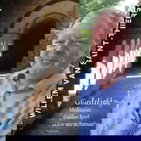 rob faesen willem van st-thierry de gulden brief deel 2