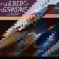 pieter vos het goede in het gewone leven protestantse deugdethiek