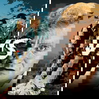 The Trouble with Harry vs Frenzy - Julius vs Jasper 125