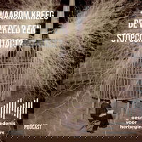 118. Waarom kreeg de wereld een stopcontact? - De lange 19de eeuw: deel 4c