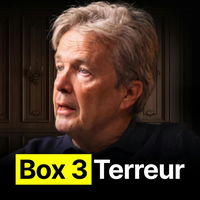 Titel: Emergency: Box 3 verandert alles: Zo red je JOUW vastgoed!