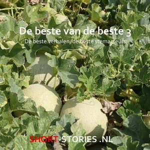 De beste van de beste 3