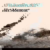 'Bij de curator voelde het alsof de aarde openspleet en ik bleef vallen'