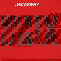 Armchair Anonymous: Wild Card IX