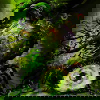 87. Wat we zagen op filmfestivals als Imagine en Sitges