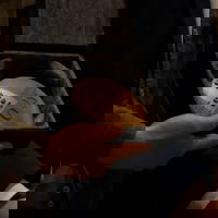 Dennis van Veen over het winnen van de Lieven de Key prijs voor 'zijn' Bakenessertoren