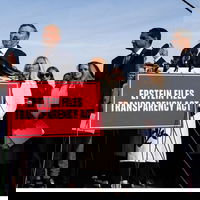 Congress Orders Trump to Release the Epstein Files