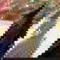 Sunday Special: Wicked, Good?