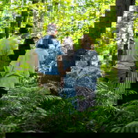 Parenting a Trans Kid in Trump’s America