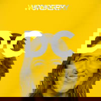 D'Arcy Carden Returns