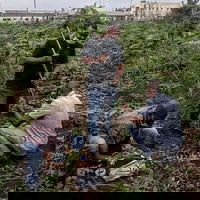 The ‘Clean’ Technology That’s Poisoning People