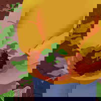 Curious about investing? Here's what to know