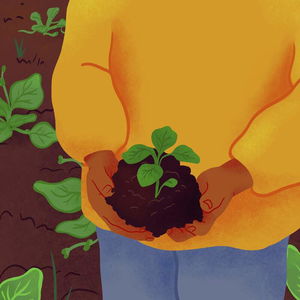 Curious about investing? Here's what to know