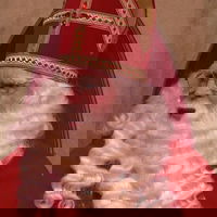 Podcast Vandaag Inside met Sinterklaas, vrijdag 5 december 2025