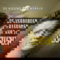 Van chaos naar inzicht: de kracht van Gestalt | #2147